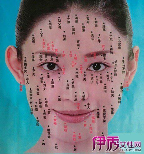 鼻樑有痣 女|女人鼻子上的痣图解 女人鼻子上的痣图解和位置